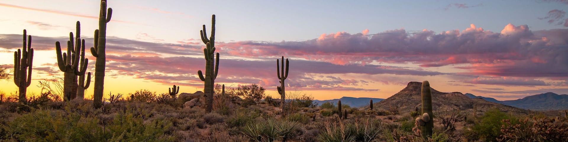 Ultra Wide AZ Desert Sunset Landscape With Pink Clouds In AZ