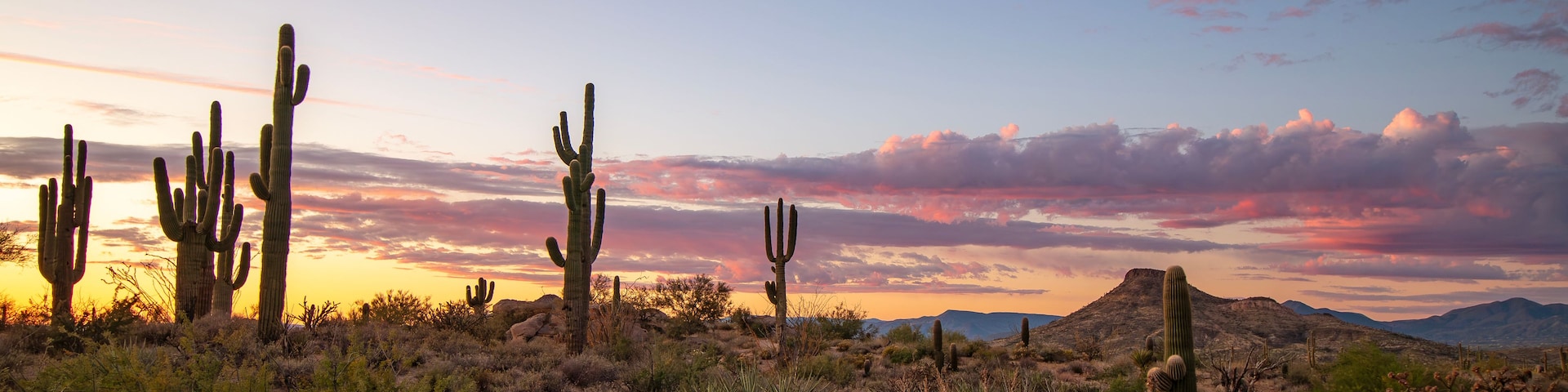 Ultra Wide AZ Desert Sunset Landscape With Pink Clouds In AZ