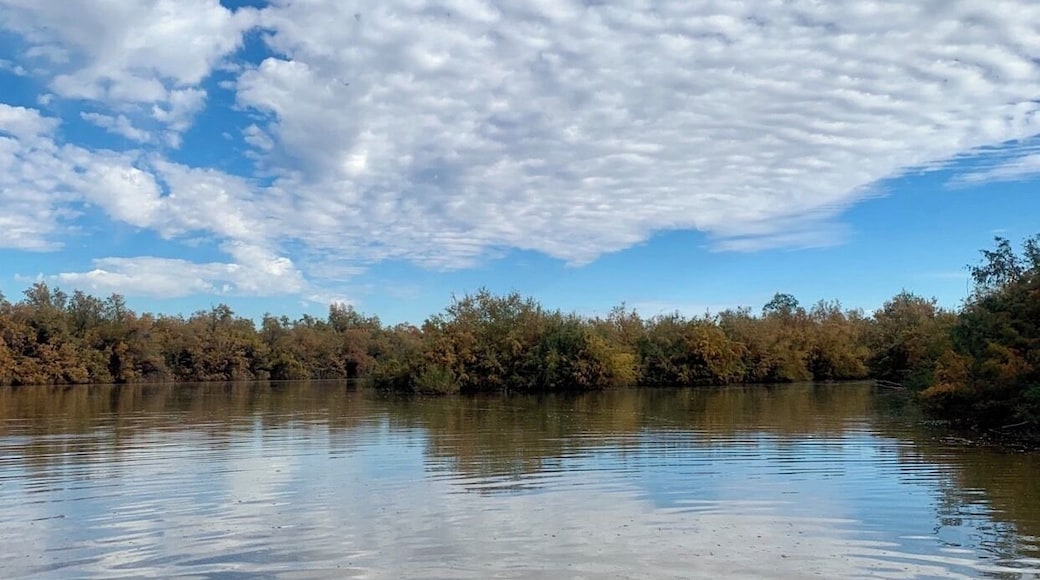 If you know you know