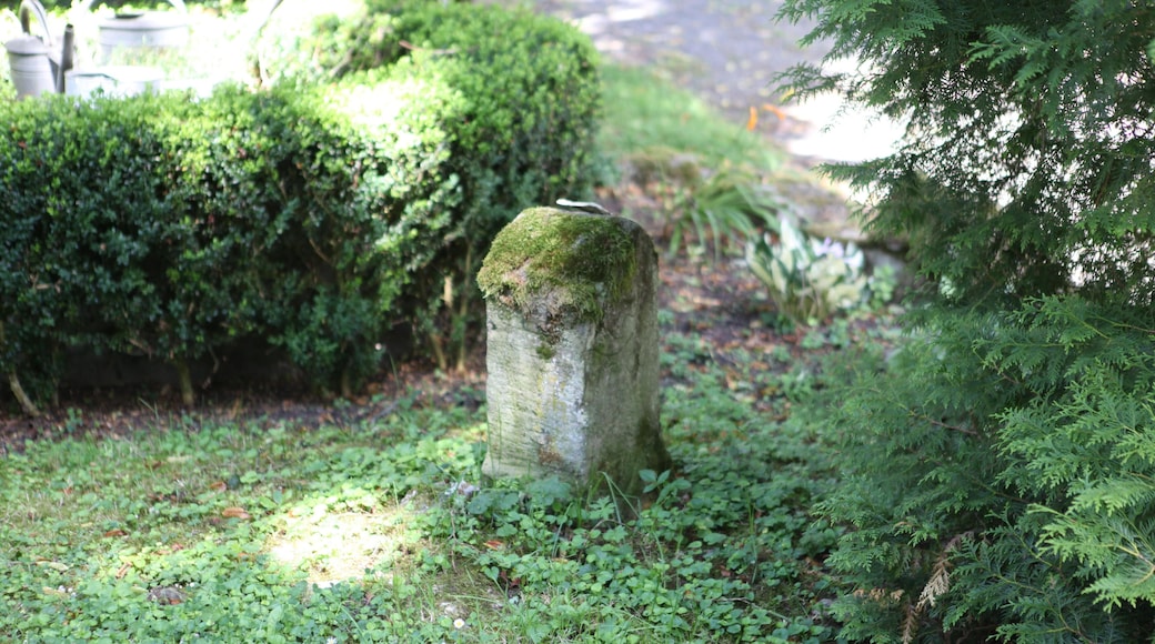 Bad-Rodach-Jagdgrenzstein