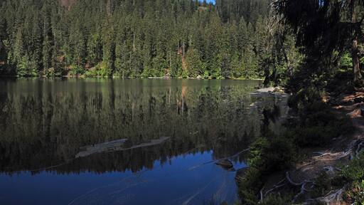 Glaswaldsee bei Bad Rippoldsau-Schapbach; Panorama