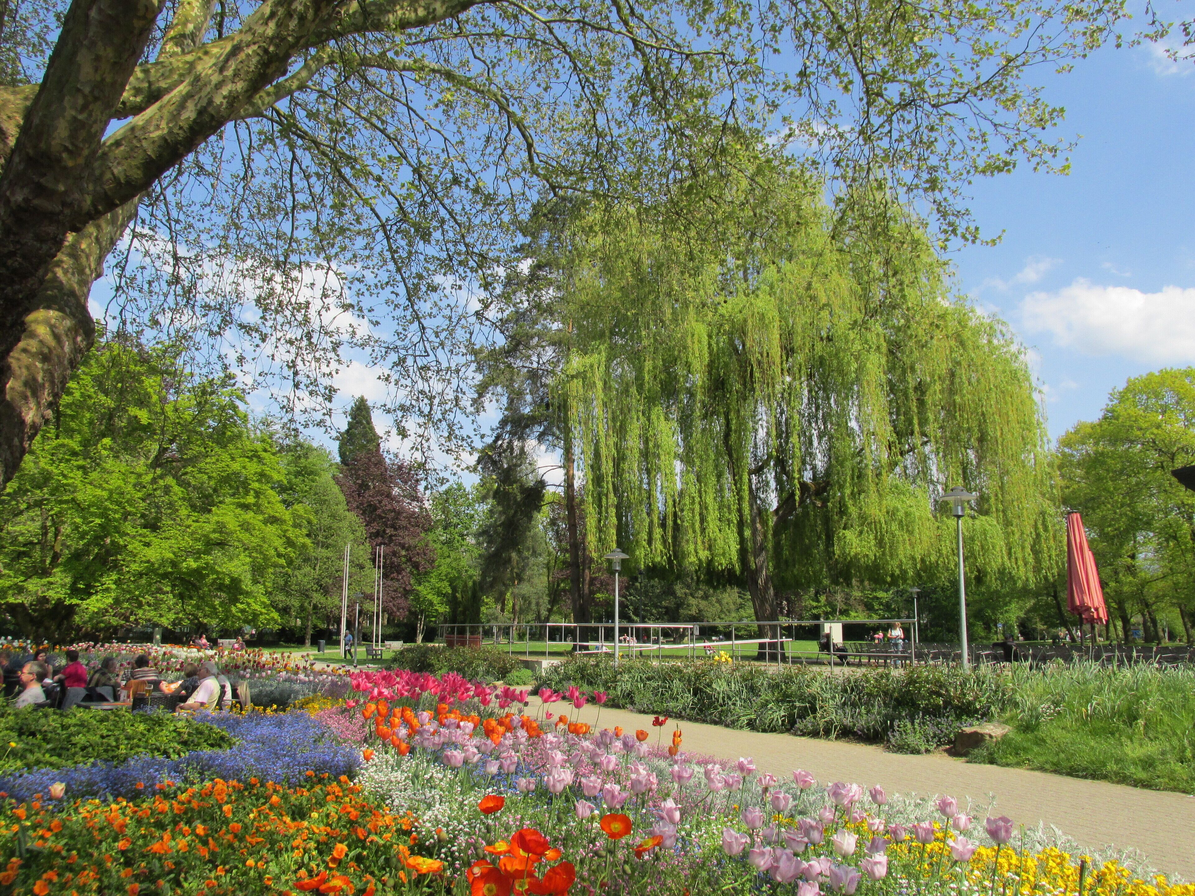 A park with a variety of flowers, trees, and a bench area.