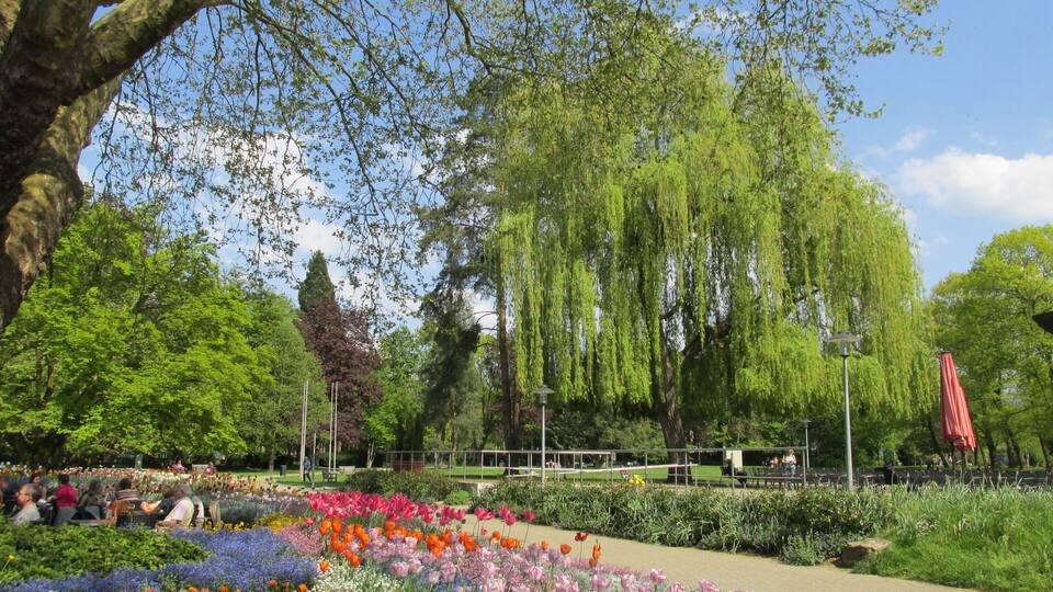 A park with a variety of flowers, trees, and a bench area.