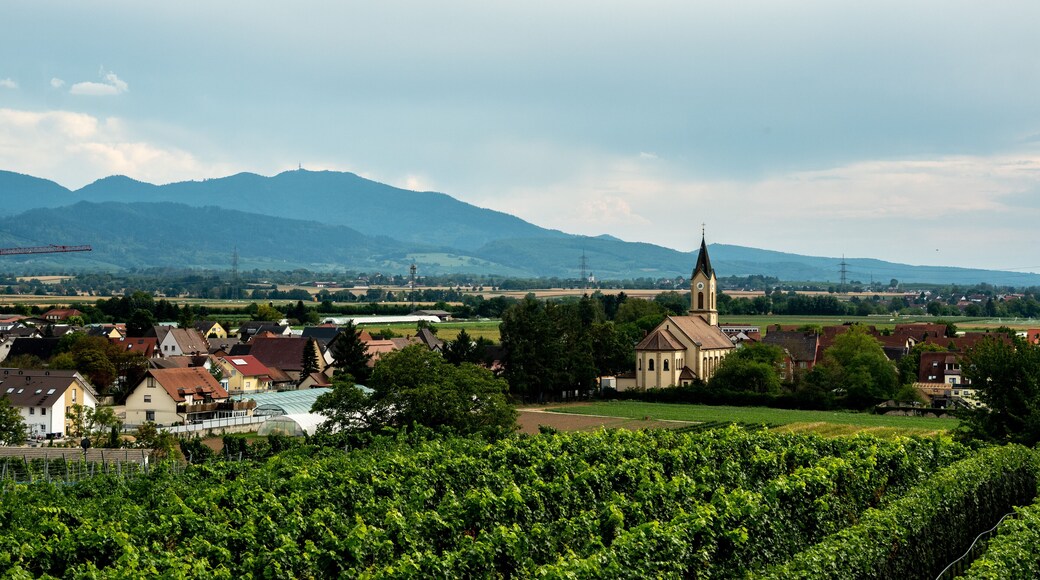 Panorama view of Tunsel, District of Bad Krozingen