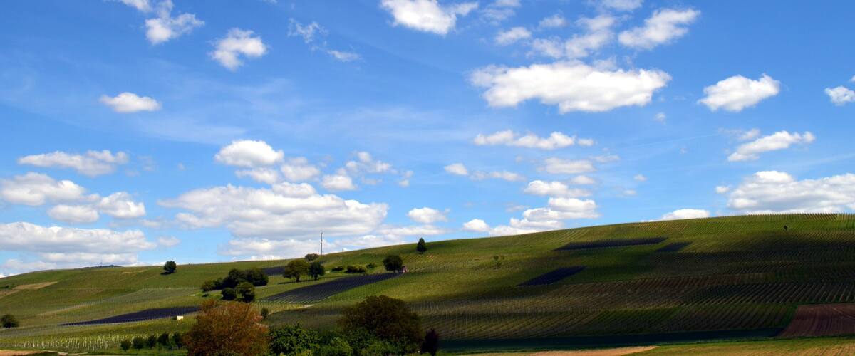 Glooiende groene heuvels, een helderblauwe lucht met losse wolken, en een elektriciteitsleiding in de verte.