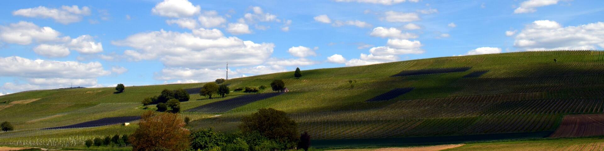 Rolling green hills, a clear blue sky with scattered clouds, and a distant power line.