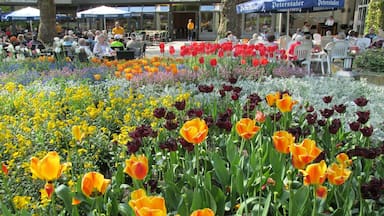 Bad Krozingen - Park - Restaurant