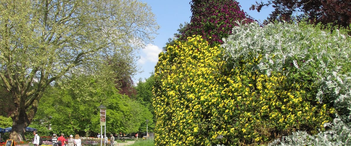 Bad Krozingen - Kurpark
