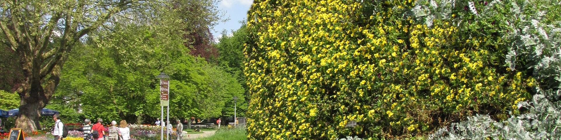 Bad Krozingen - Kurpark