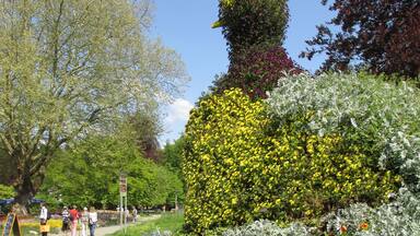 A garden with various flower beds, including blue, yellow, and orange flowers, and a unique topiary sculpture.