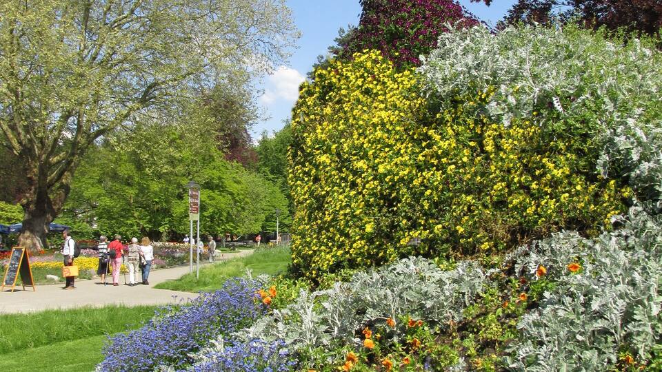 A garden with various flower beds, including blue, yellow, and orange flowers, and a unique topiary sculpture.