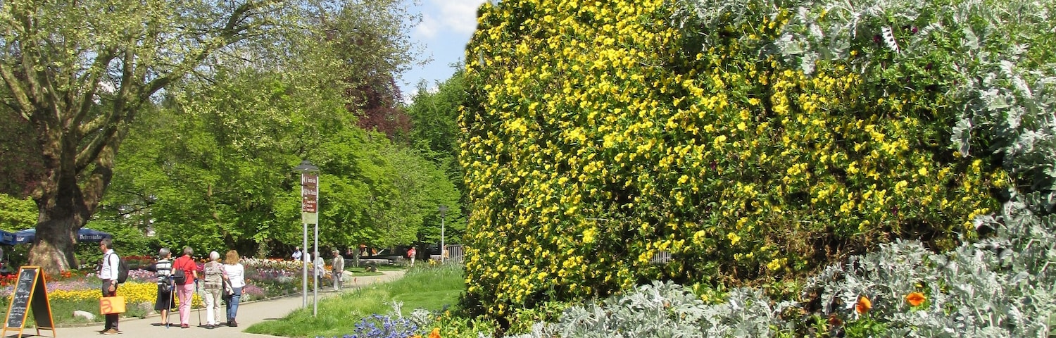 Bad Krozingen - Kurpark