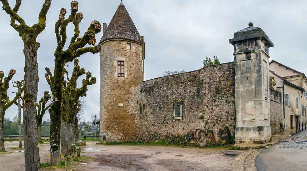 La Tour-de-Salvagny