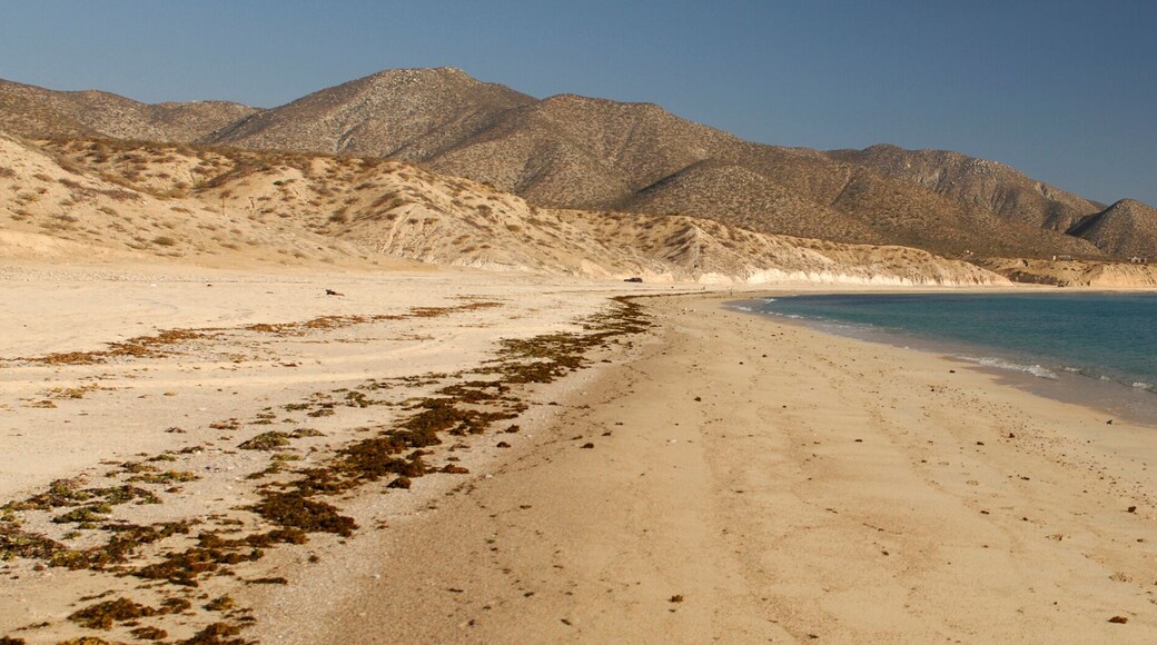 Punta Chivato