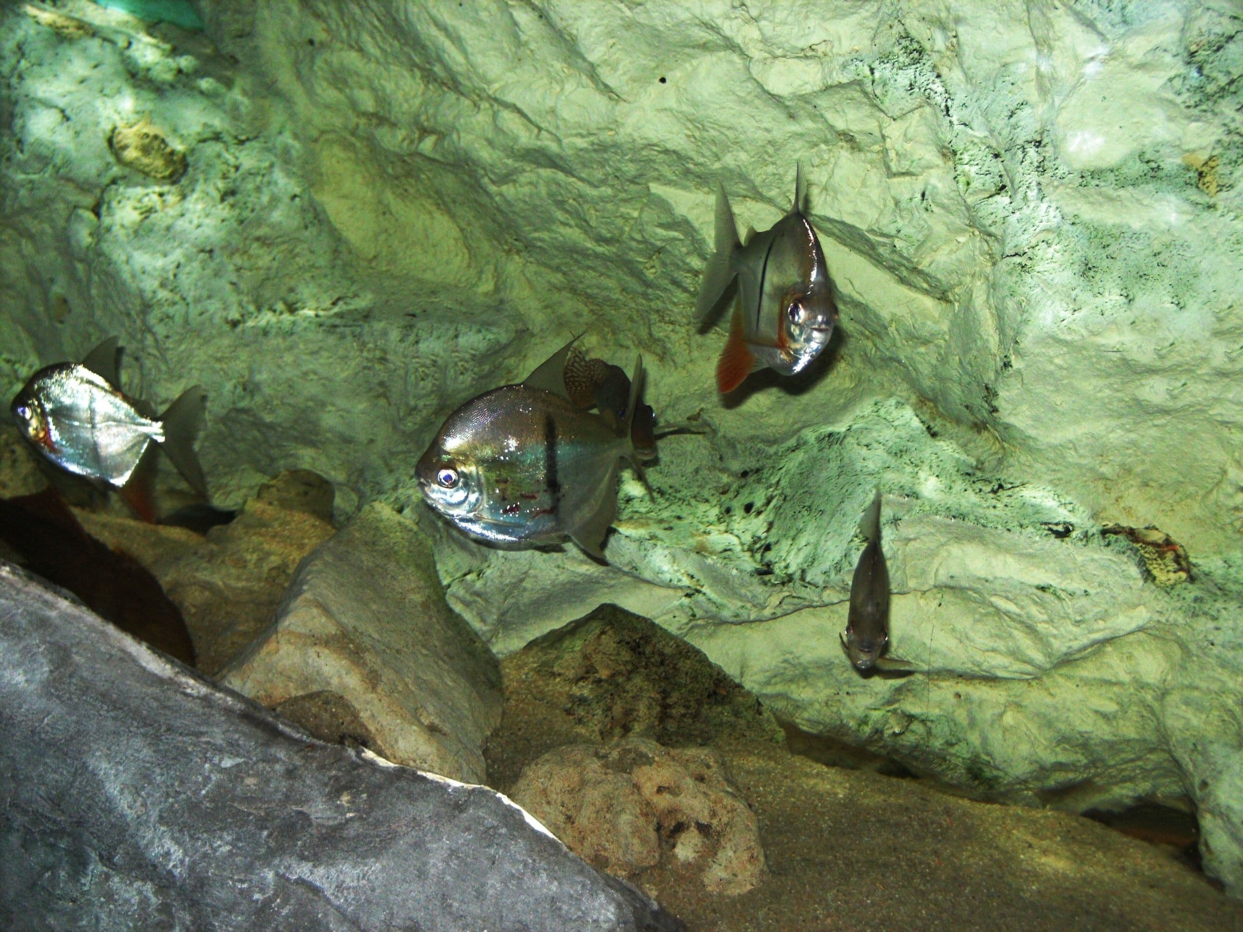 Aquarium SEA LIFE Paris Val d‘Europe