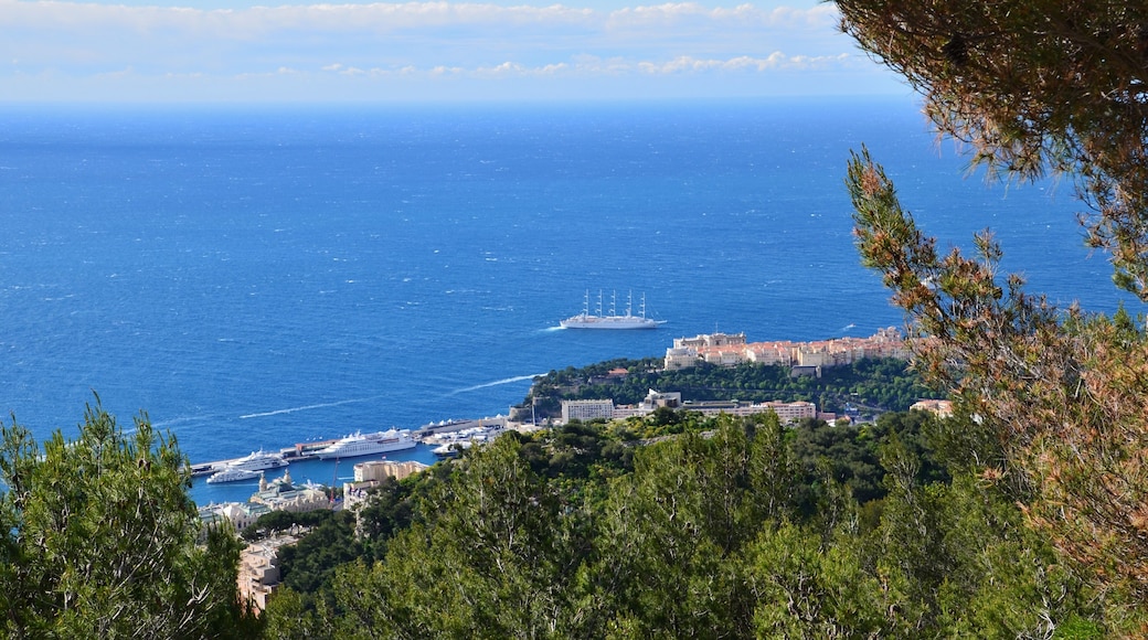 Monaco, seen from Relais de Beausoleil