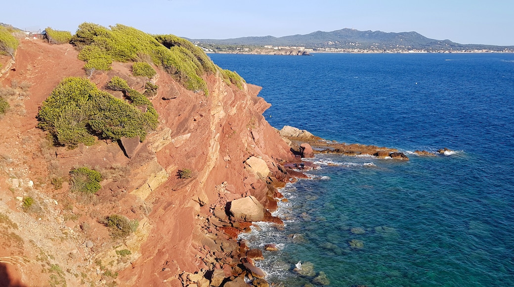 Cliffs in Sanary, French Riviera