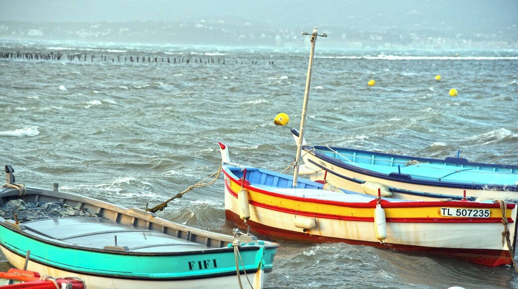 The seaside towards the island of Gaou: very beautiful.