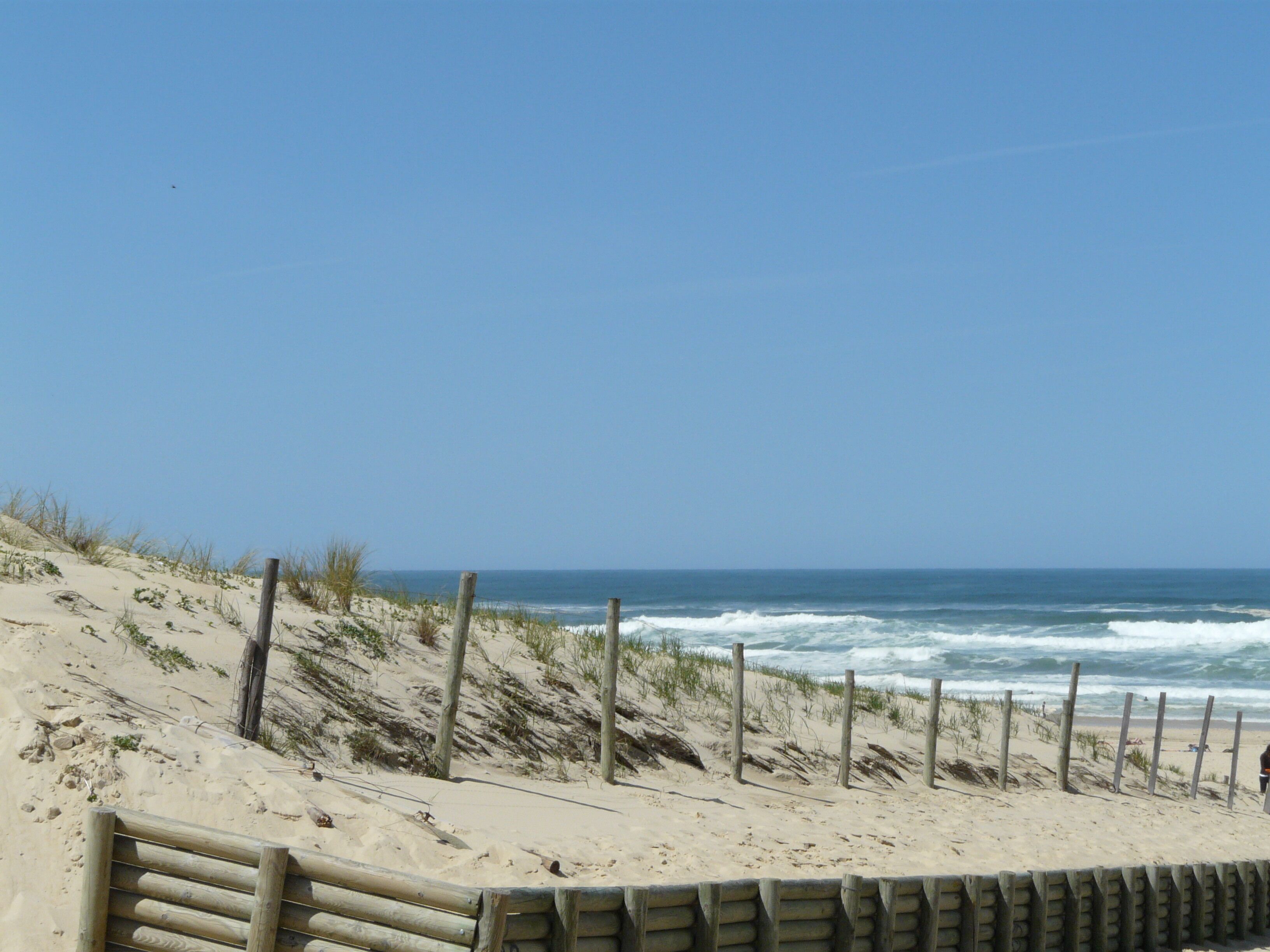 beach plage océan atlantique côte landes moliets
