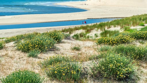 P20GPM France, Landes, Moliets-et-Maa beach, Courant d'Huchet mouth