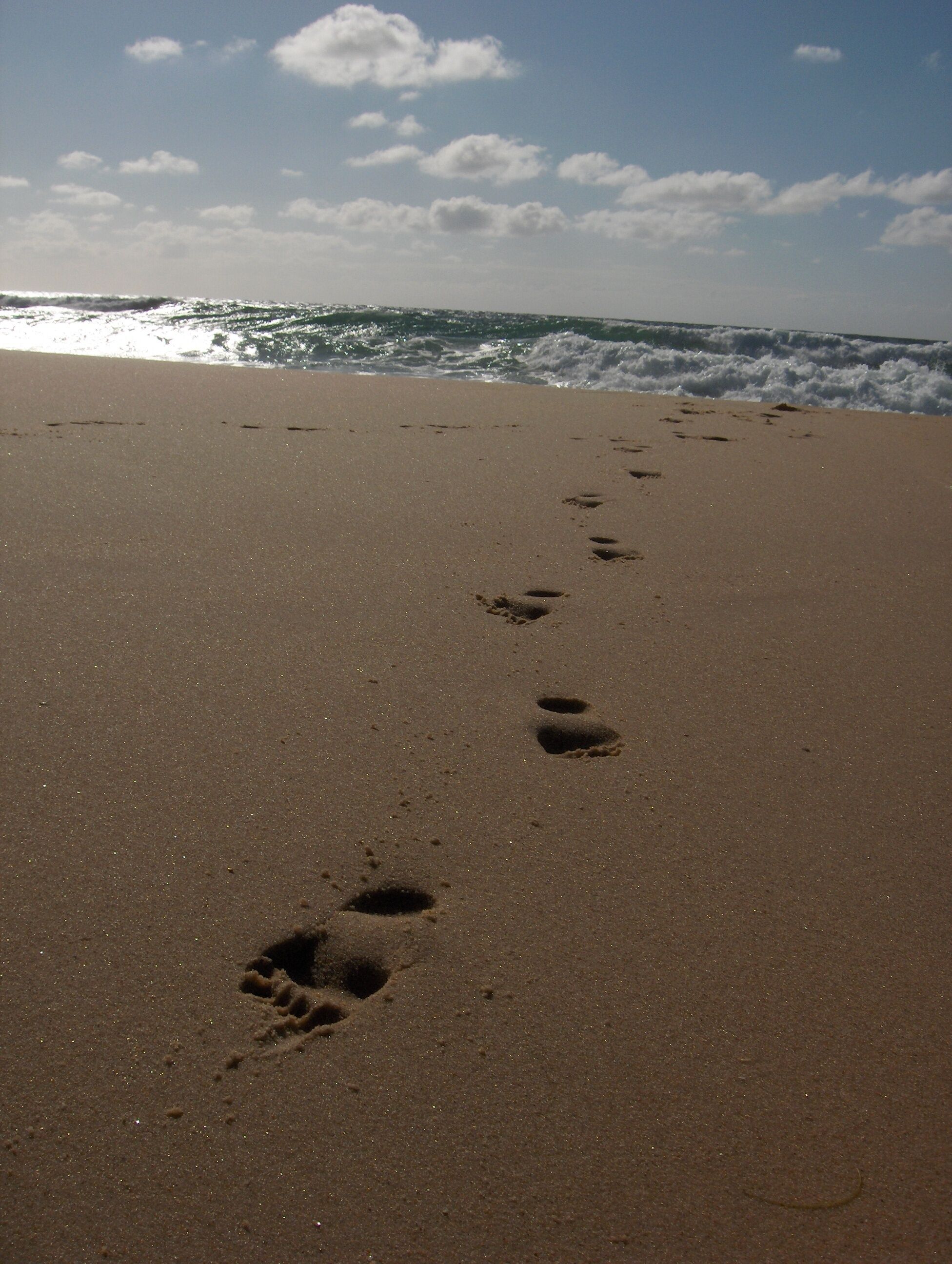 Footprints on the beach of Moliets (Landes, France).
