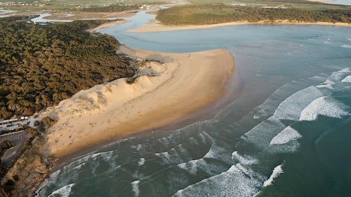 Plage du Veillon, Talmont-Saint-Hilaire vue du ciel