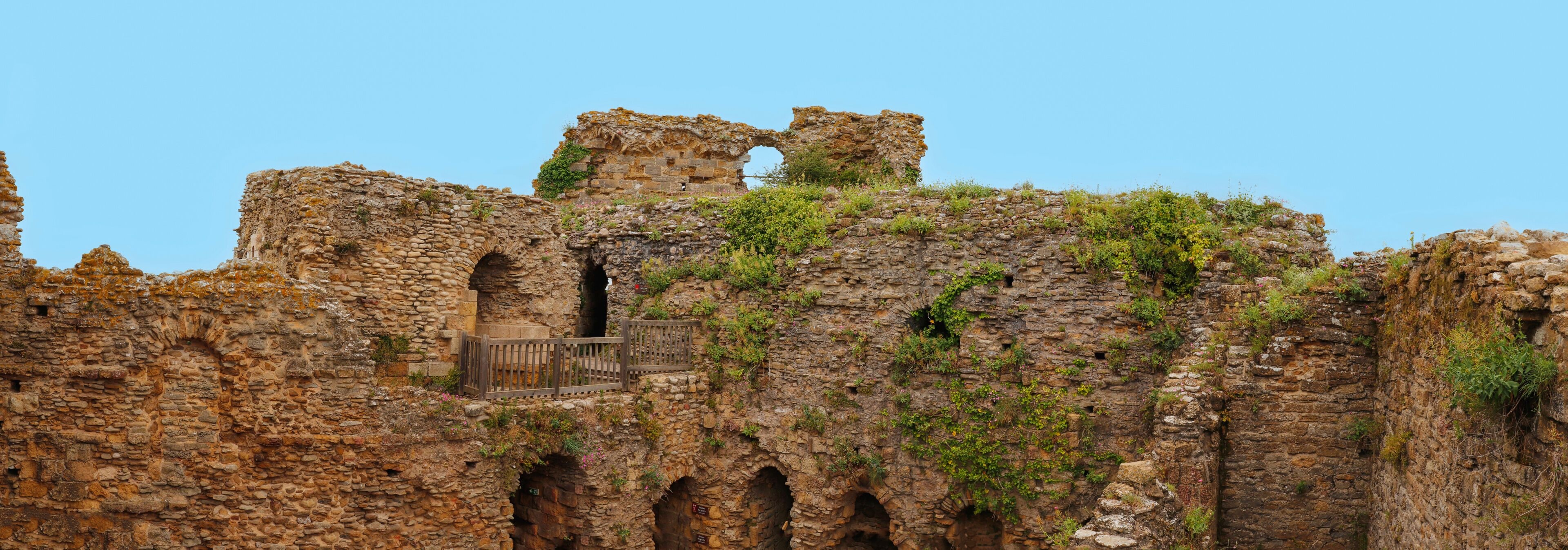 タルモン サン チレール