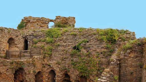 タルモン サン チレール