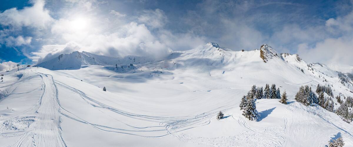 A snow-covered mountain landscape with ski tracks and evergreen trees.