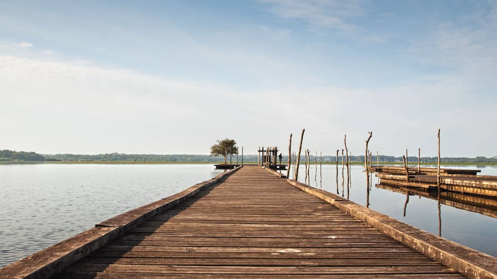 A wooden pier extending into calm water with a clear sky above.