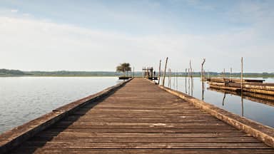 wooden pier on Soustons lake, France