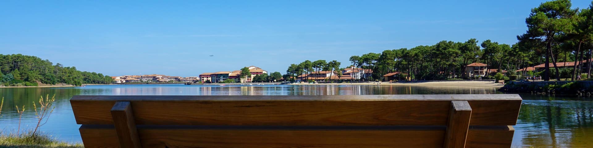 Banc - lac de Soustons - Département des Landes - France