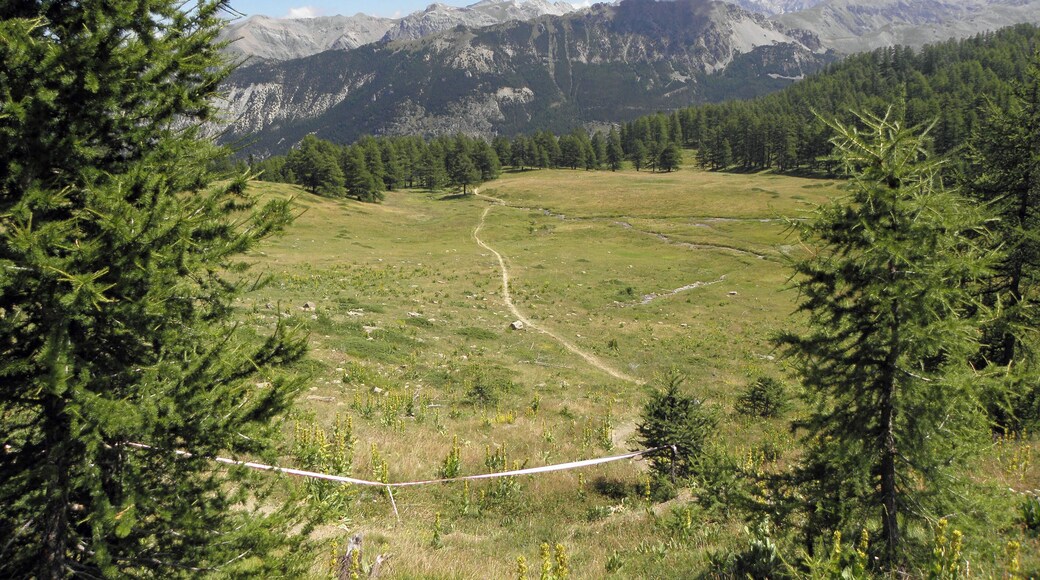 Piste de descente en VTT de la Boucle de Razis (Vars, Sainte-Marie)