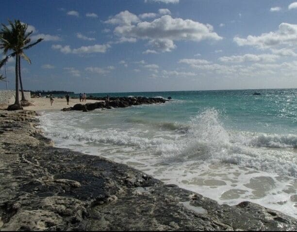 A rocky beach with waves crashing onto the shore, palm trees, and a clear blue sky.
