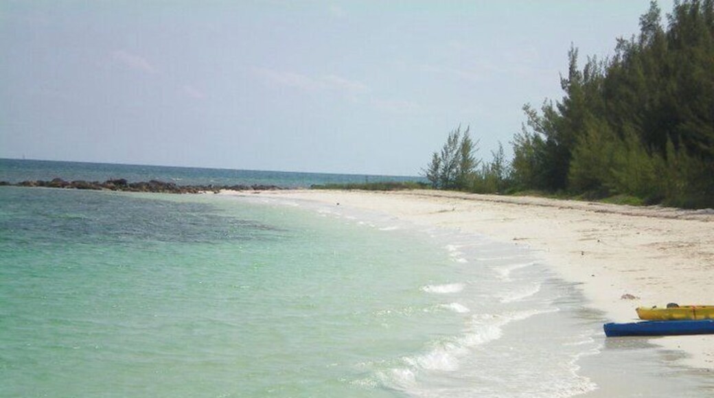Junkanoo Beach in Freeport, Grand Bahama. Absolutely worth the trip!