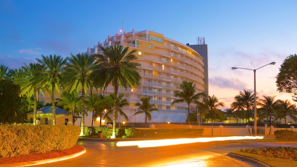 Freeport which includes night scenes