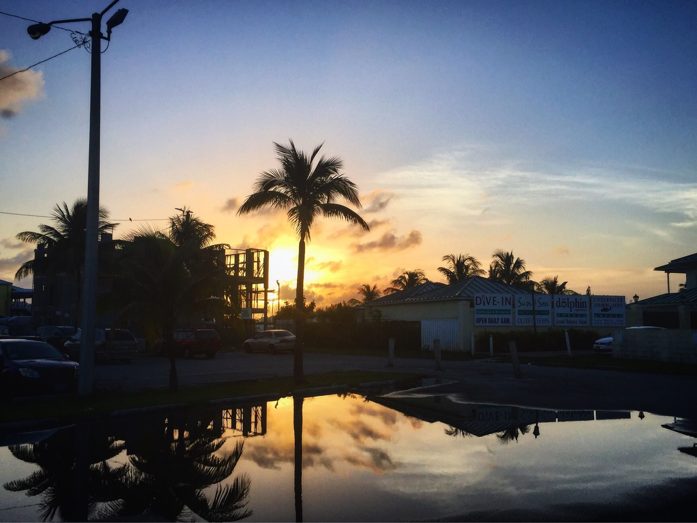 Obligatory palm tree sunset pic 🌴