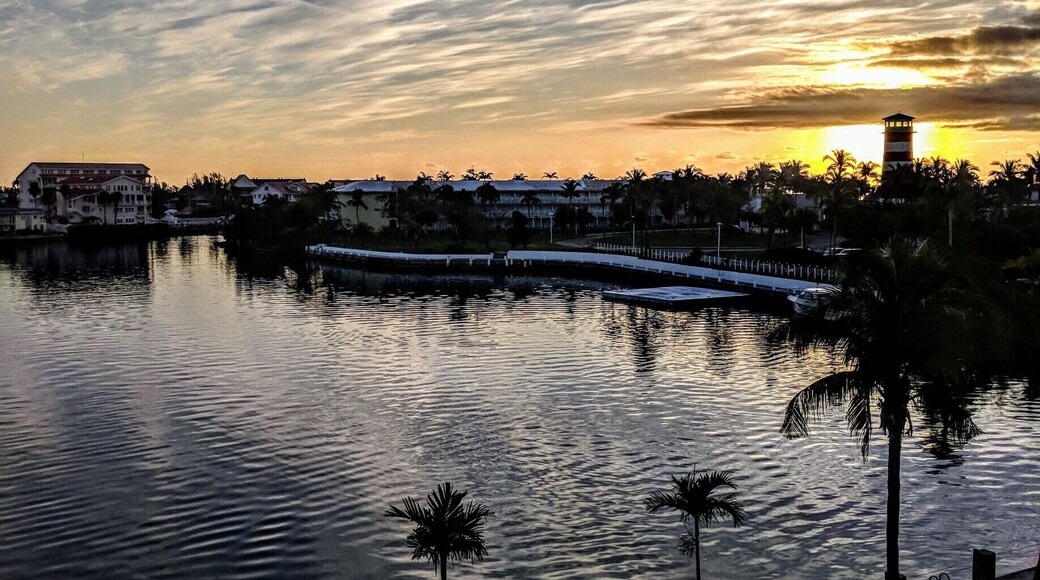 The sun rises over the bay