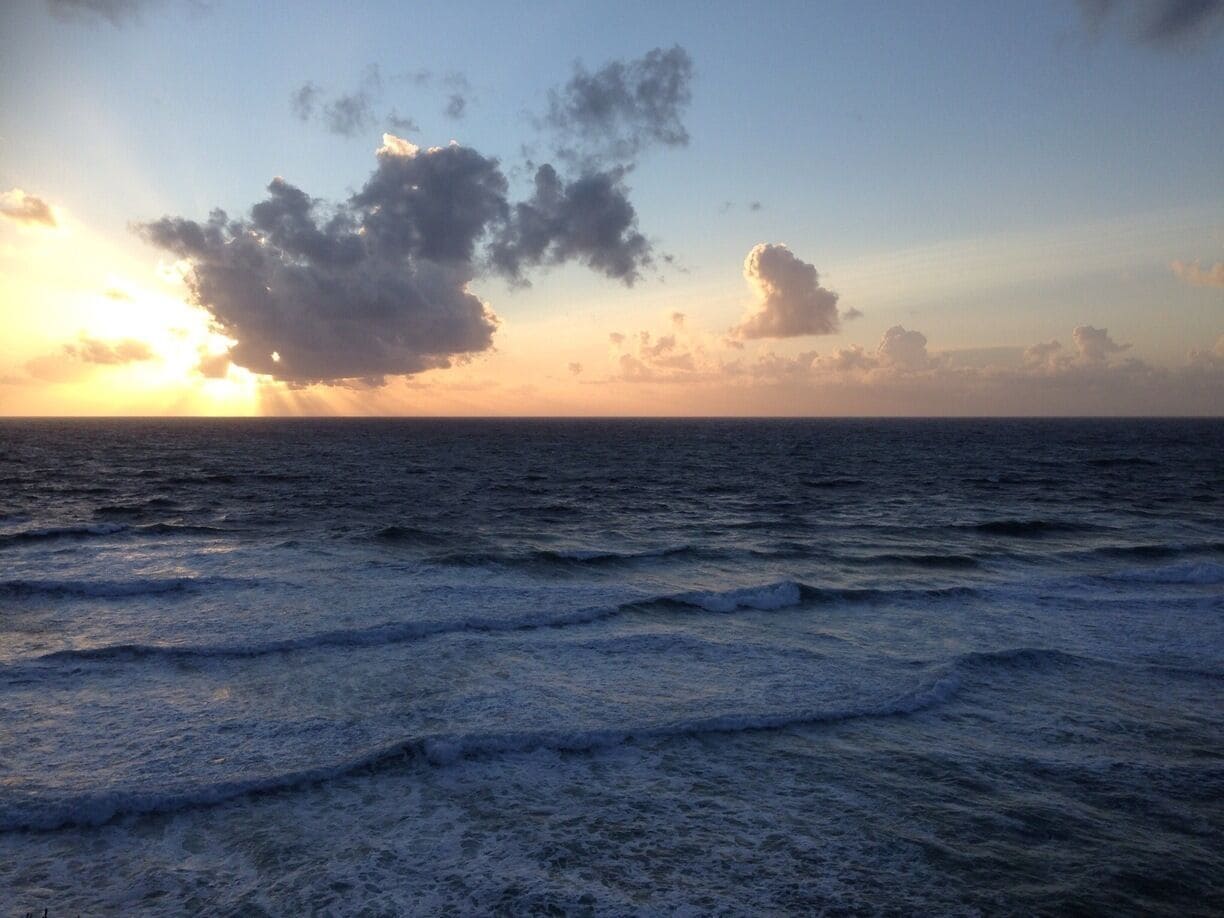 I really couldn't believe my luck when I saw this ! #beach #BestOf5