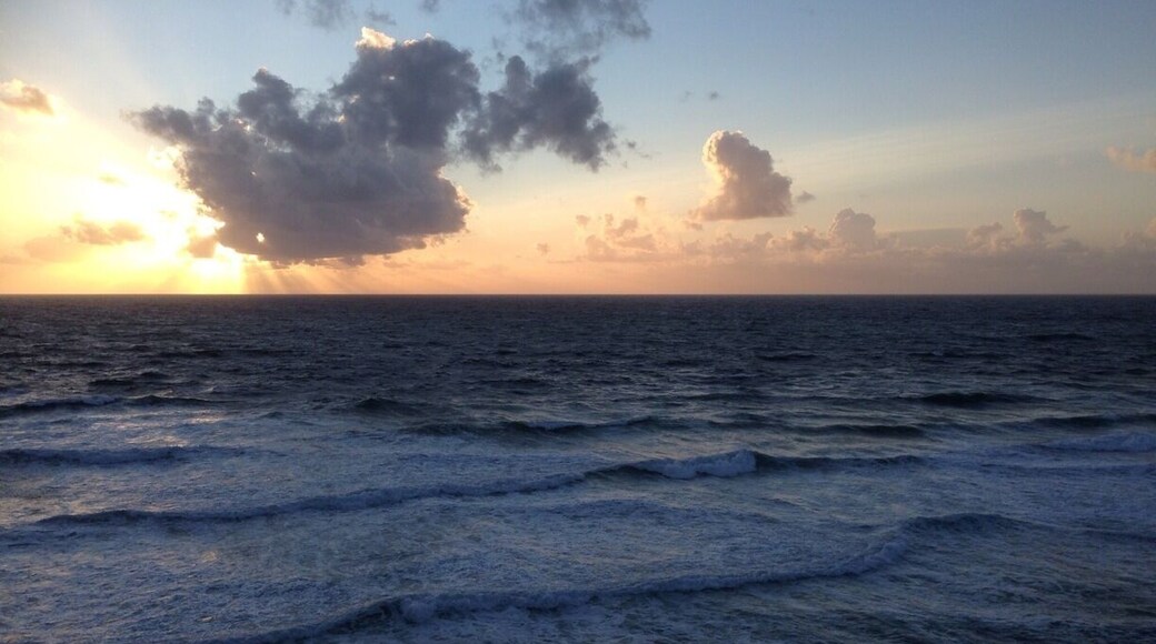 I really couldn't believe my luck when I saw this ! #beach #BestOf5