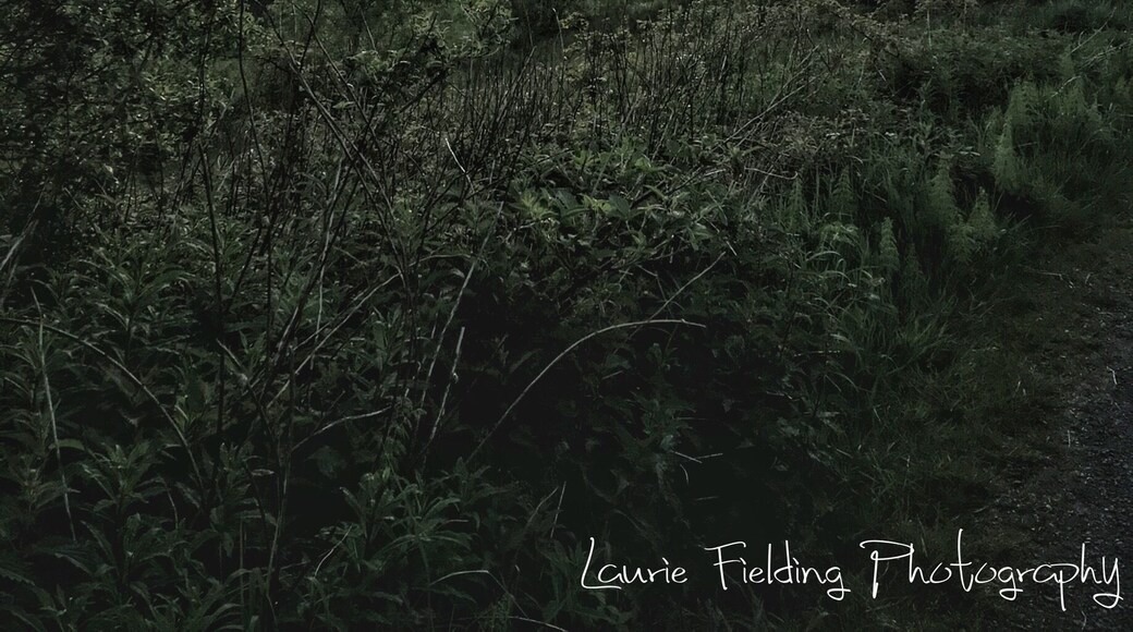 You can travel many, many miles all over the world, but sometimes there's no place like home 🏡 #hometown