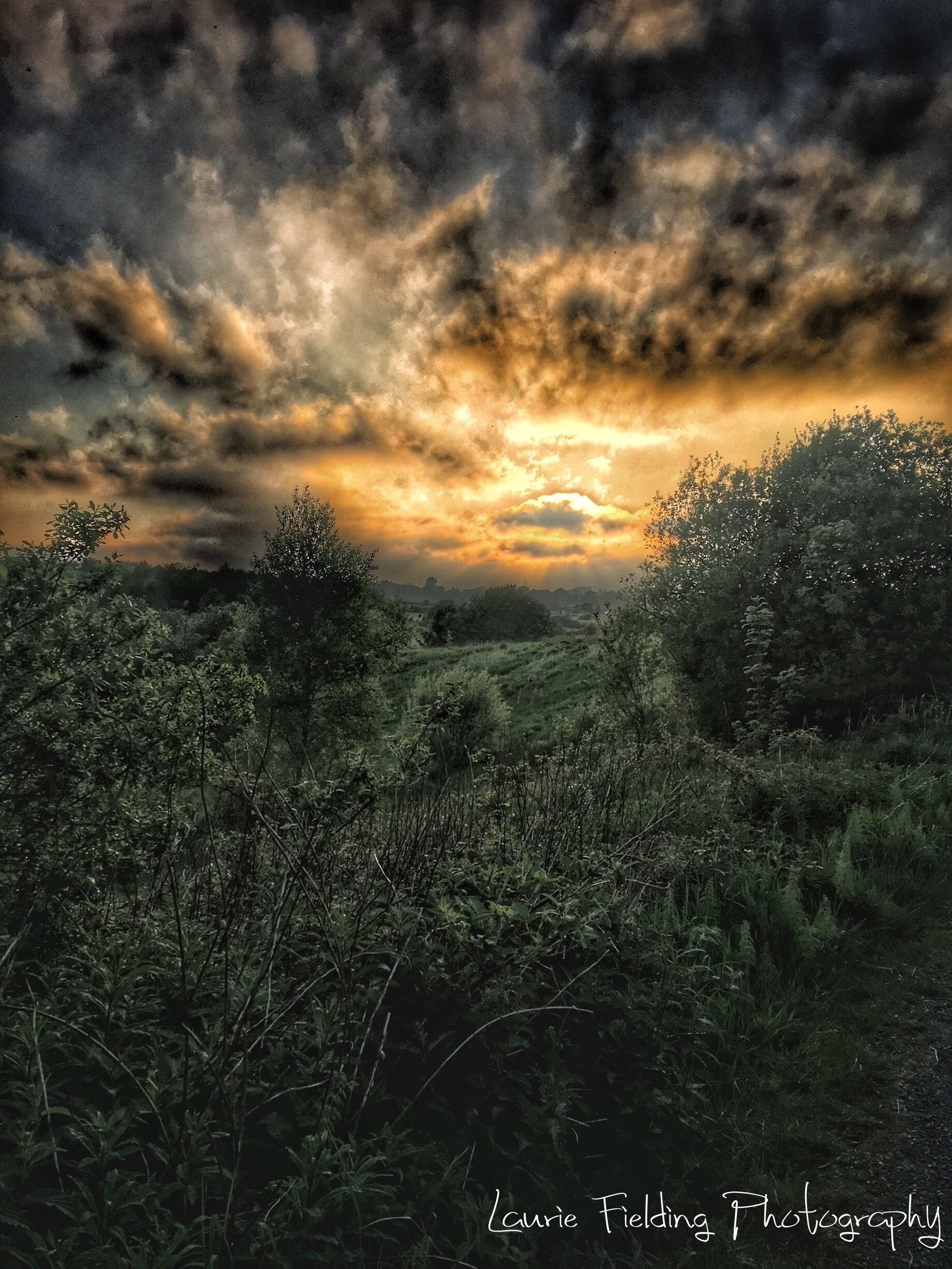 A landscape with dense vegetation and a dramatic sky with clouds.