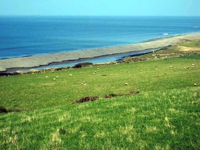 A coastal landscape with a grassy field, a beach, and the ocean.