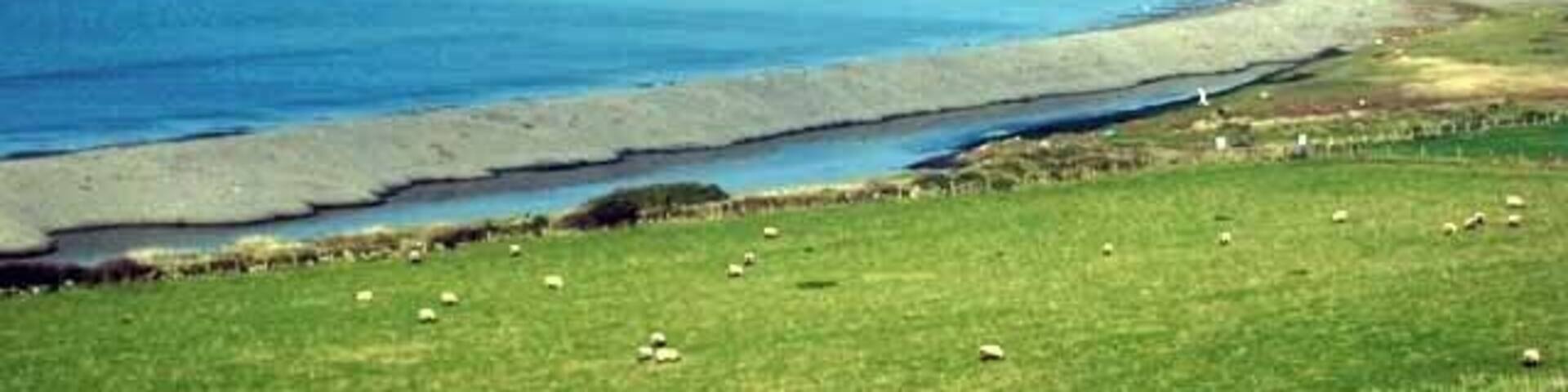 A coastal landscape with a grassy field, a beach, and the ocean.