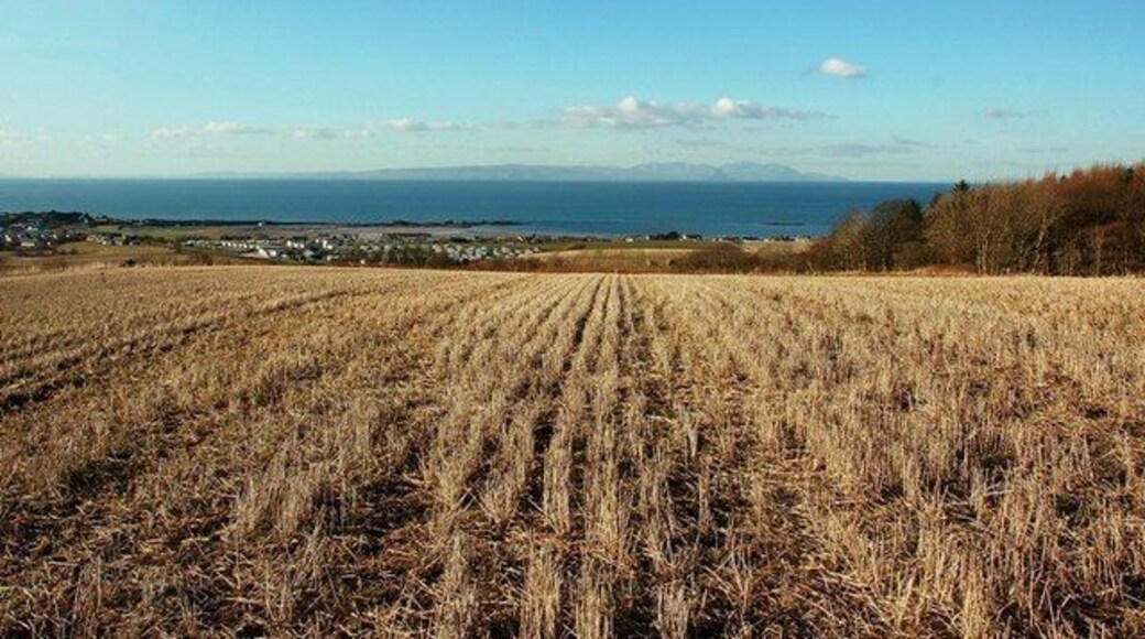 Maidens View Looking towards the village of Maidens from nearby barley fields. The island of Arran is visible on the skyline.