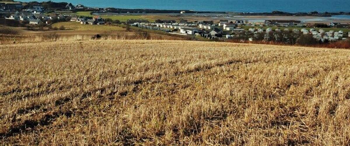 A coastal landscape with a field of dry grass in the foreground, a small settlement with houses, and the sea in the background.
