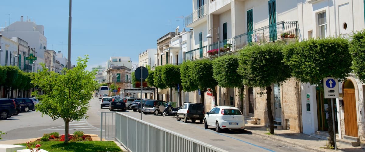 A street lined with white buildings, parked cars, and a tree with green leaves.