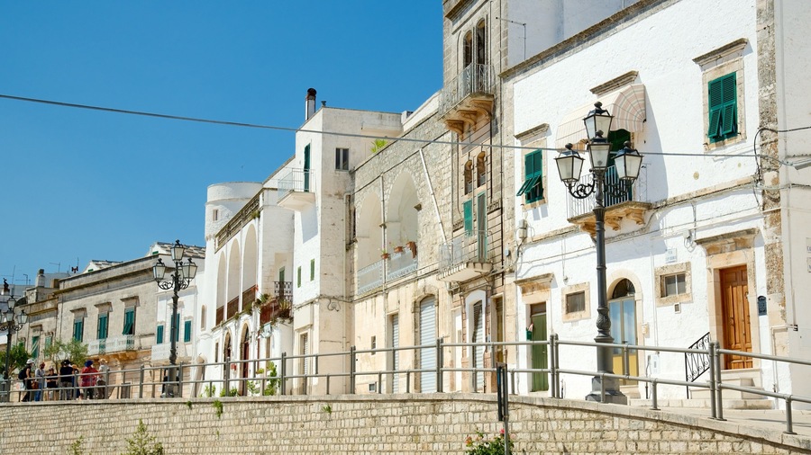 Brindisi featuring a city and heritage architecture