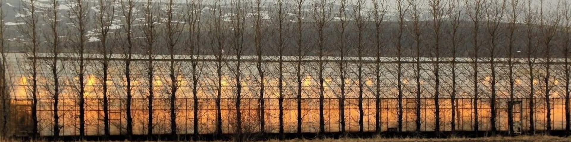 Iceland utilizes geothermal energy for heating in homes and green houses where they grow vegetables and flowers for the domestic market.
You can see them while driving through the country side, mainly in the South.