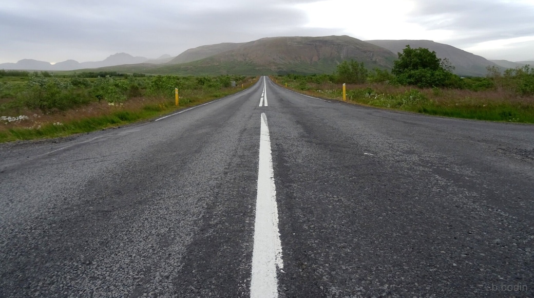 A rainfull day, and decided to take a little walk, when the rain stopped a little. Went out to the road and got this shot.